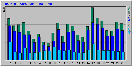 Hourly usage for June 2010