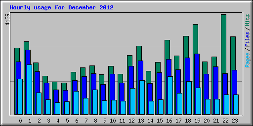 Hourly usage for December 2012