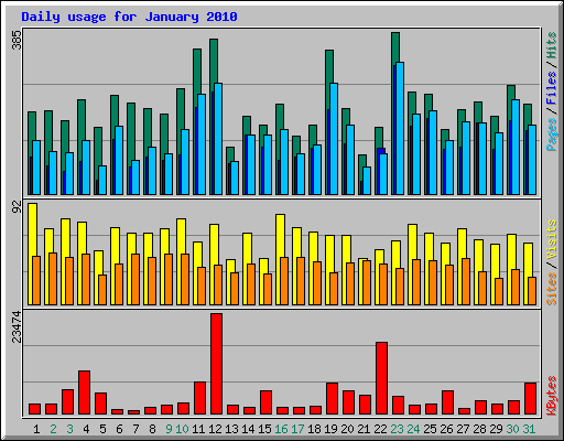 Daily usage for January 2010